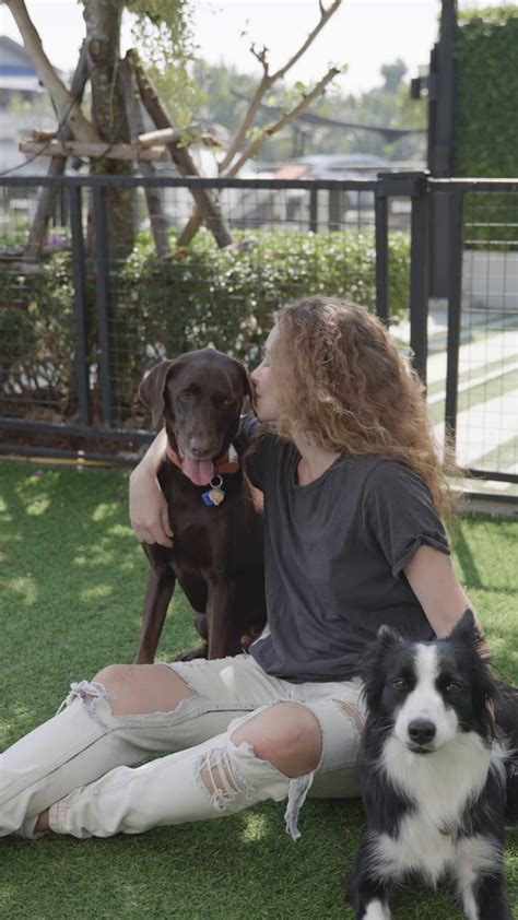 femme x chien|Chien Et Femme Vidéos HD libres de droit